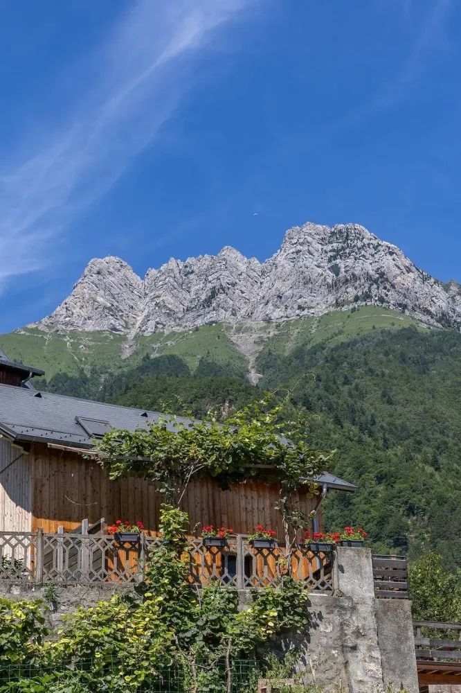 logement chalet au pied de larcluse avec vue sur la montagne (3)